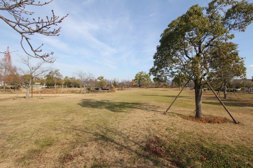 大和高田市総合公園